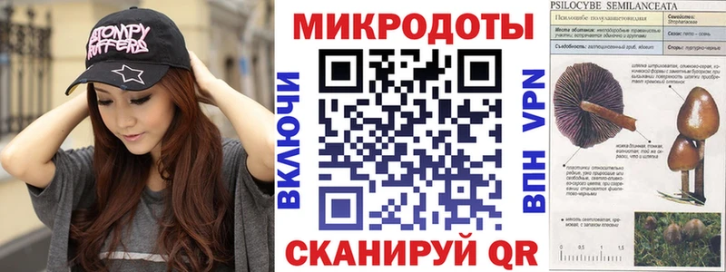 Купить  Сухиничи  Галлюциногенные грибы Cubensis 